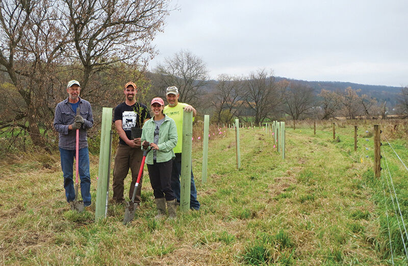 Upper Susquehanna tree planting in NY